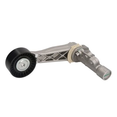 INA  Galet tendeur (courroie d'accessoire) 534 0318 10 PEUGEOT 207