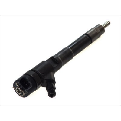 BOSCH Injecteur diesel  0 445 110 248 (X1)