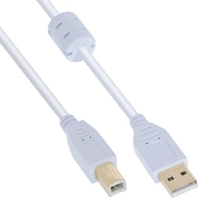 GENERIQUE InLine 34555W - C&acirc;ble USB (USB A, USB B, M&acirc;le/M&acirc;le, 5 m) Couleur Blanc