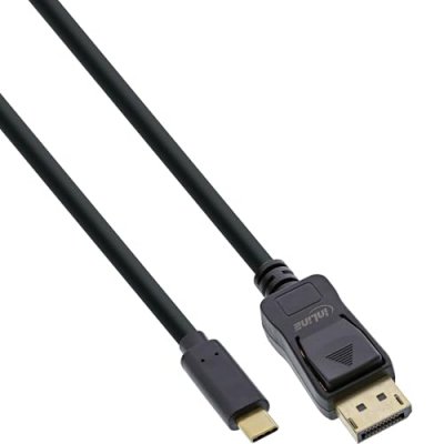 INLINE  64122 2m USB C DisplayPort Noir c&acirc;ble vid&eacute;o et adaptateur