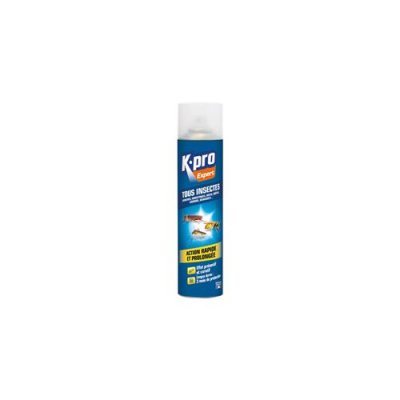 KAPO Insecticide a&eacute;rosol multi-usages - tous insectes - 300 mL