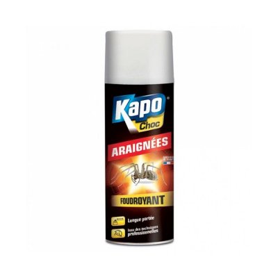 KAPO Insecticide a&eacute;rososol anti-araign&eacute;es - Choc - longue port&eacute;e - 400 mL