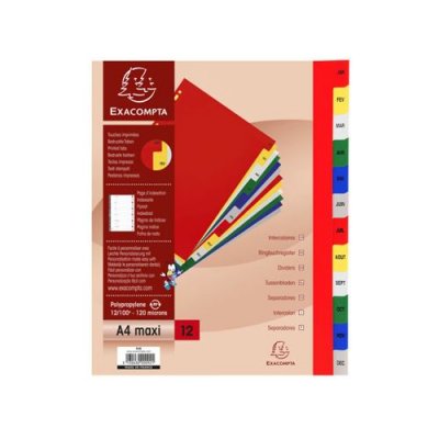 EXACOMPTA Intercalaires Polypro - 12 Positions - Mensuel - A4 - 