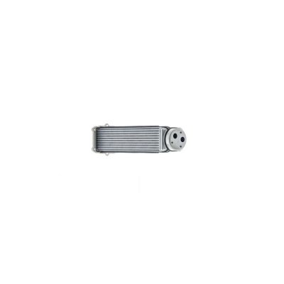 MAHLE Intercooler radiateur de turbo  CI 481 000P (X1)