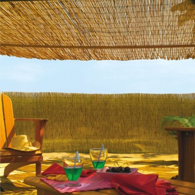 INTERMAS  - Brise vue en roseau 75% occultant 2 x 5 m REEDCANE