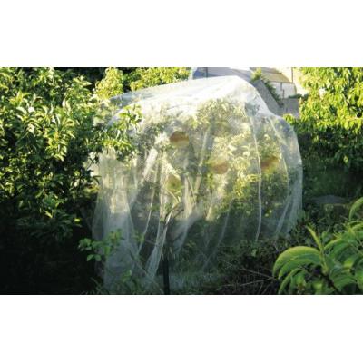 GENERIQUE INTERMAS - Filet de protection PROTECT FRUIT 5,2 x 5 m