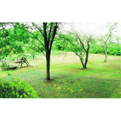 NORTENE INTERMAS - Filet de ramassage 4 x 6 m CAPTANET