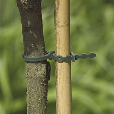 Intermas Gardening - Lien - lot de 20 - 35 cm