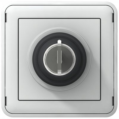 LEGRAND Interrupteur &Agrave; Cl&eacute; &Eacute;tanche Ronis N&deg;455 2 Positions - Gris