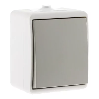 ZENITECH Interrupteur va-et-vient &eacute;tanche Nano, gris - Centrale Brico