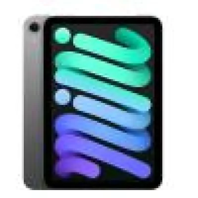 iPad mini Wi-Fi + Cellulaire 256 Go - Gris sid&eacute;ral