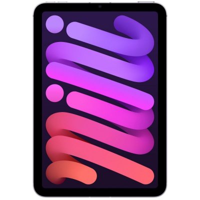 iPad mini Wi-Fi + Cellulaire 256 Go - Violet