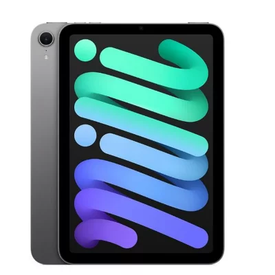 iPad mini Wi-Fi + Cellulaire 512 Go - Gris sid&eacute;ral