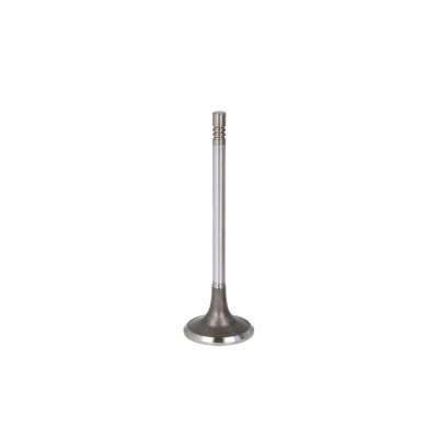 FRECCIA Ipsa Vl202300&nbsp;les blocs de moteur
