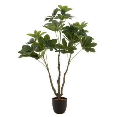 J-Line by Jolipa PACHIRA en Pot Plastique Vert Small