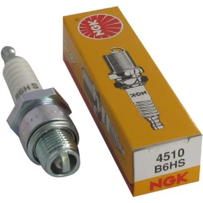 CSTORE JARDIN PRATIC Bougie d'allumage pour tondeuse NGK B6HS