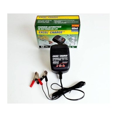 GREEN STAR JARDIN PRATIC Chargeur de batterie de 5 &agrave; 32 Ah pour tondeuse