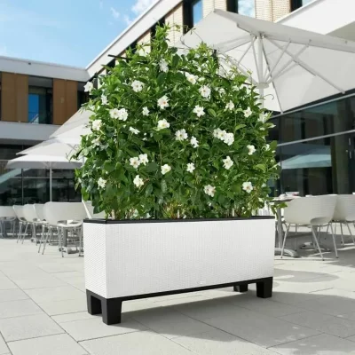 LECHUZA Jardini&egrave;re Trio Cottage 30 - LEC - kit complet - blanc - r&eacute;sistant aux intemp&eacute;ries 