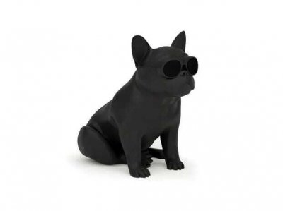 JARRE  AeroBull XS1 - Enceinte sans fil Bluetooth - Noir