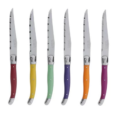 LAGUIOLE JEAN DUBOST  Coffret 6 couteaux steak coul