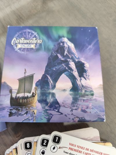 BLAM Jeu d&rsquo;ambiance  Cartaventura Vinland 