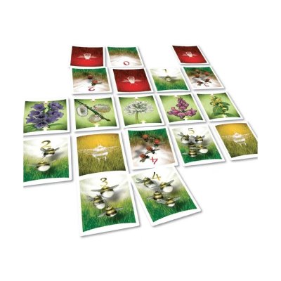 JEUX OPLA Jeu de cartes Paille Editions La Glace et le Ciel