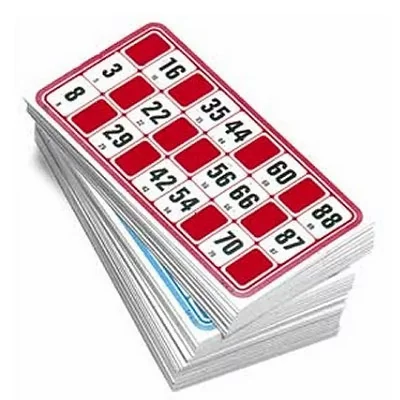 JEUJURA Jeu De Societe 96 Cartes De Loto