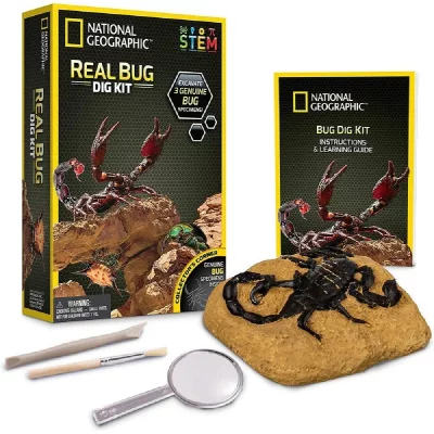 NATIONAL GEOGRAPHIC Jeu scientifique  Insectes 