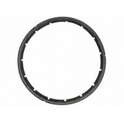 SEB Joint autocuiseur 8 &agrave; 10 litres &Oslash; 253 mm (Remplac&eacute; par X1010003)