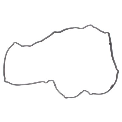 REINZ Joint de cache culbuteurs 71-10223-00 Viktor 