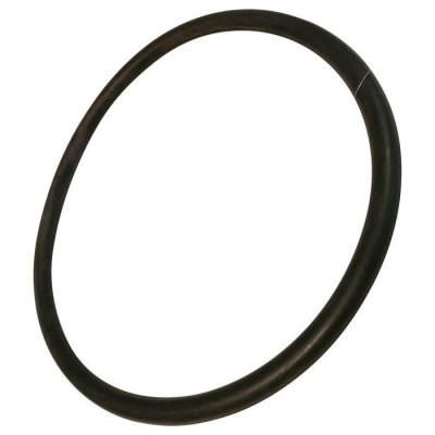 PROLINE Joint de carter (bac fond de cuve) Lave-vaisselle 34421174 