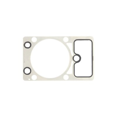 REINZ Joint de culasse VICTOR  61-36485-00 (X1)