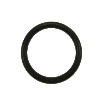 KARCHER Joint etancheite bouchon d'origine (63634680) Nettoyeur vapeur 