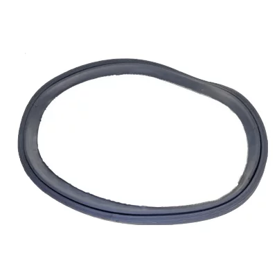 BLUESKY Joint Hublot Pour Seche Linge  - C00095978