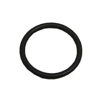 INDESIT Joint or (23,81x2,62) pour lave vaisselle  - 4608084