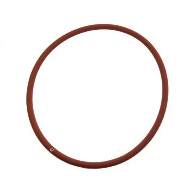 DELONGHI Joint OR4312 chaudiere pour petit electromenager  533216