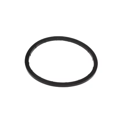 WHIRLPOOL Joint pot a sel pour lave-vaisselle  480140100416