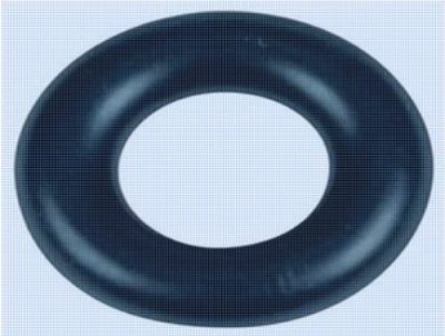 ARTHUR MARTIN Joint remplisseur (130 E) d'origine Lave-vaisselle 8996464027581 