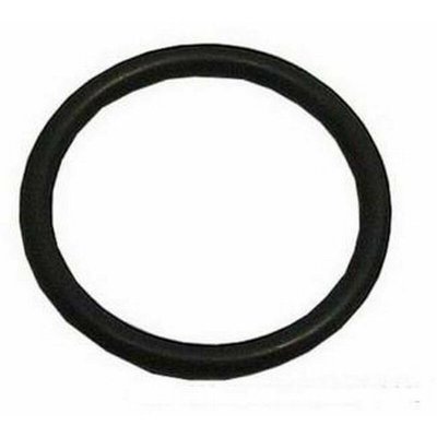 ARISTON GROUP Joint torique pompe de vidange c00054917 pour Lave-vaisselle Ariston