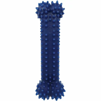 NYLABONE Jouet &agrave; m&acirc;cher pour chien  dental chew bleu taille l 20,5 cm