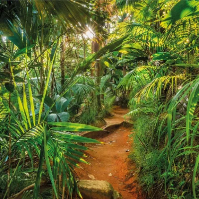 KOMAR Jungle trail photo murale sentier de la jungle - 368 x 254 cm 425268