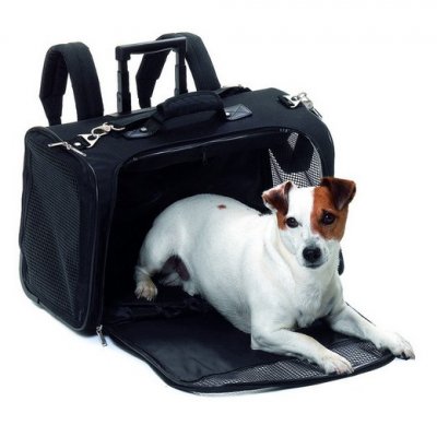 MORIN IMPORT Karlie - Smart Trolley / 31470 - Sac de transport - Noir