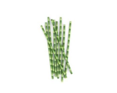 GENERIQUE Kikkerland - Pailles Bambou (x144) - Vert