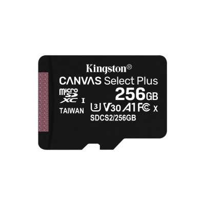 KINGSTON  Canvas Select Plus carte microSD 256 Go 