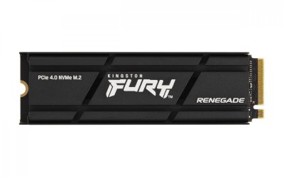 KINGSTON TECHNOLOGY Kingston Fury Renegade SSD avec dissipateur thermique - 500 Go