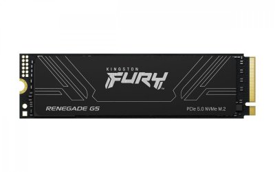 KINGSTON  Technology 2T FURY RENEGADE G5 M.2 2280 NVMe SSD SFYR2S/2T0