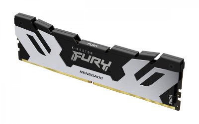 KINGSTON TECHNOLOGY  FURY 48 Go 6000 MT/s DDR5 CL32 DIMM Renegade Argent XMP