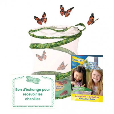 INSECTLORE Kit d'&eacute;levage de papillon, mod&egrave;le garden