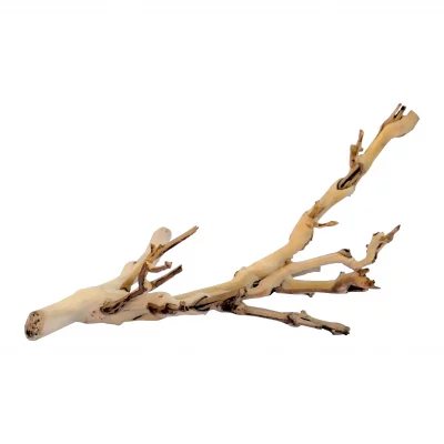 EXO TERRA Kit de d&eacute;coration pied de vigne sabl&eacute; 