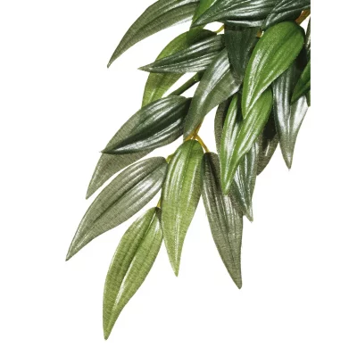EXO TERRA Kit de d&eacute;coration ruscus plante 